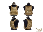 Flyye MBSS Plate Carrier BK